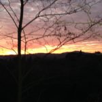 FrancaMeotti-20150103-174012