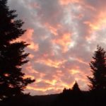 GabriellaPedani-20200101-194158