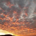 GigliolaSinatti-20200101-092443