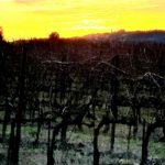 GiuseppeMilnaro-20200101-200805