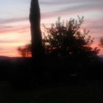 GloriaPorrini_Giogoli-20190312-085736