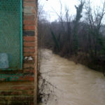 La Greve al ponte di Cappello ore 9 del 31 gennaio