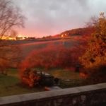 IMG_1527-20190312-085253