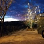 IdaCastracani3-20200101-200745