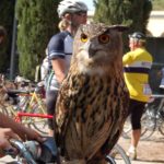 Ilgufosulmanubrio-20141007-181634
