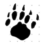 Immagine1a-20190501-091456