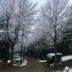 ImprunetaSimona-20190123-101657