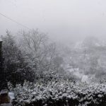 IsaMolinaroCintoiaAlta-20190130-145309