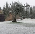 IvanaNatali_Montefiridolfi1-20150206-120304