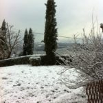LauraBartolomei_LaCollina_Montefiridolfi-20130223-101550