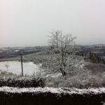LauraBartolomei_LaCollina_Montefiridolfi1-20130223-112944