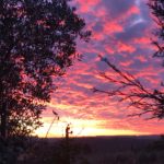 LauraGallengaStrada1-20200101-092702