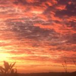 LorenzoViciani-20200101-201007