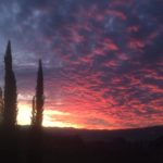 LorenzoViti-20200104-183339