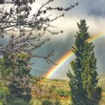 MarcoCappelli_VillaCaprera-20160308-095345