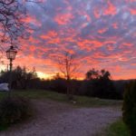 MirandaCook-20200101-200450