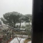 Mugnana1-20190122-172806