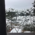 MugnanaMonique-20190123-104021