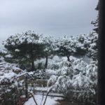 MugnanaMonique2-20190123-104028