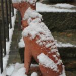 NeveVertine23gennaio2019_55-20190123-142219