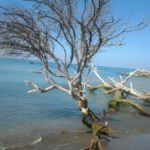 Nudoinspiaggia-20130826-110740