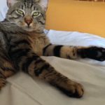 PHOTO-2020-01-10-17-14-14-20200110-173726