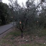 PHOTO-2020-01-24-08-18-35-20200124-090128