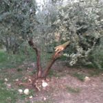 PHOTO-2020-01-24-08-19-02-20200124-090132