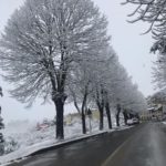 Panzano_LeoBiagi3-20190123-103556