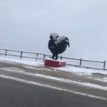 Panzano_LeoBiagi4-20190123-103604