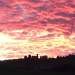 PaolaArfaioli-20200101-092744