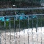 PesaSambuca_FotoMaricaCalamandrei1-20140131-094730