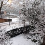 Radda_Dina1-20190122-171500