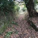 RipulituraLeRose-20191212-115918