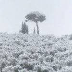 SanCasciano_Walid-20190123-140241