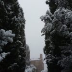 SantaAndreaLuiano-20190123-094030