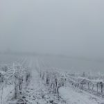 SantaAndreaLuiano1-20190123-094046