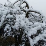 SantaAndreaLuiano2-20190123-094050