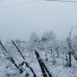 SantaAndreaLuiano4-20190123-094058