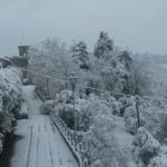SerenaFerrucci_Selvole-20150206-092721