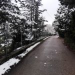 Sezzate_AnnaMaria-20190123-102036