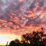 SimonaMasini-20200104-095404