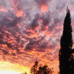 SimonaMasini1-20200104-095419