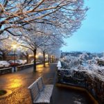 StefaniaSanCasciano2-20190123-093636