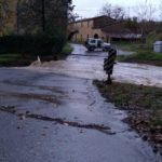 Strolla-20191117-082359