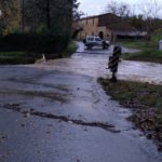 Strolla2-20191117-082406