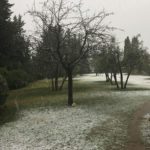 UzzanoIsabella-20190130-161846