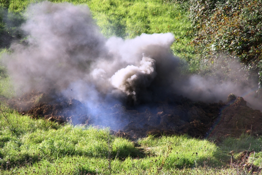 bombelaromita04-20131108-114546