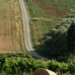 campagna-20130823-213119