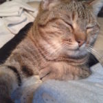 chicca-20150220-095016